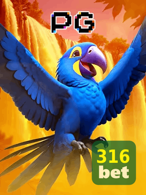 316BET bônus — cashback 15 por cento e níveis VIP