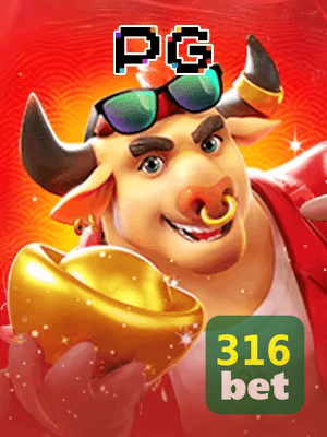 316BET cadastro — tela de formulário no app oficial