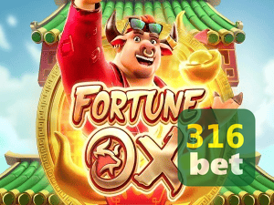 316BET login — painel de entrada no app oficial